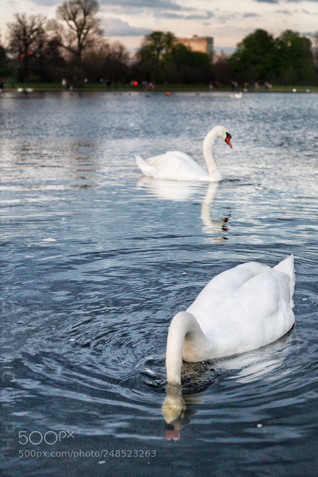 Canon EOS 5D sample photo. Hyde park, london (uk) photography