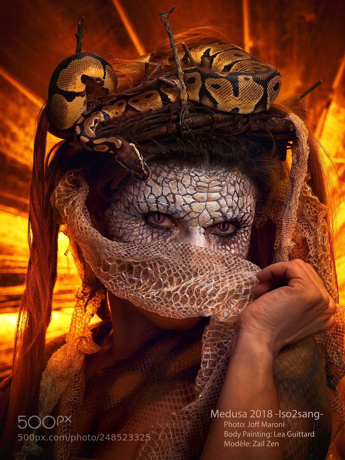 Nikon D800 sample photo. Medusa photography