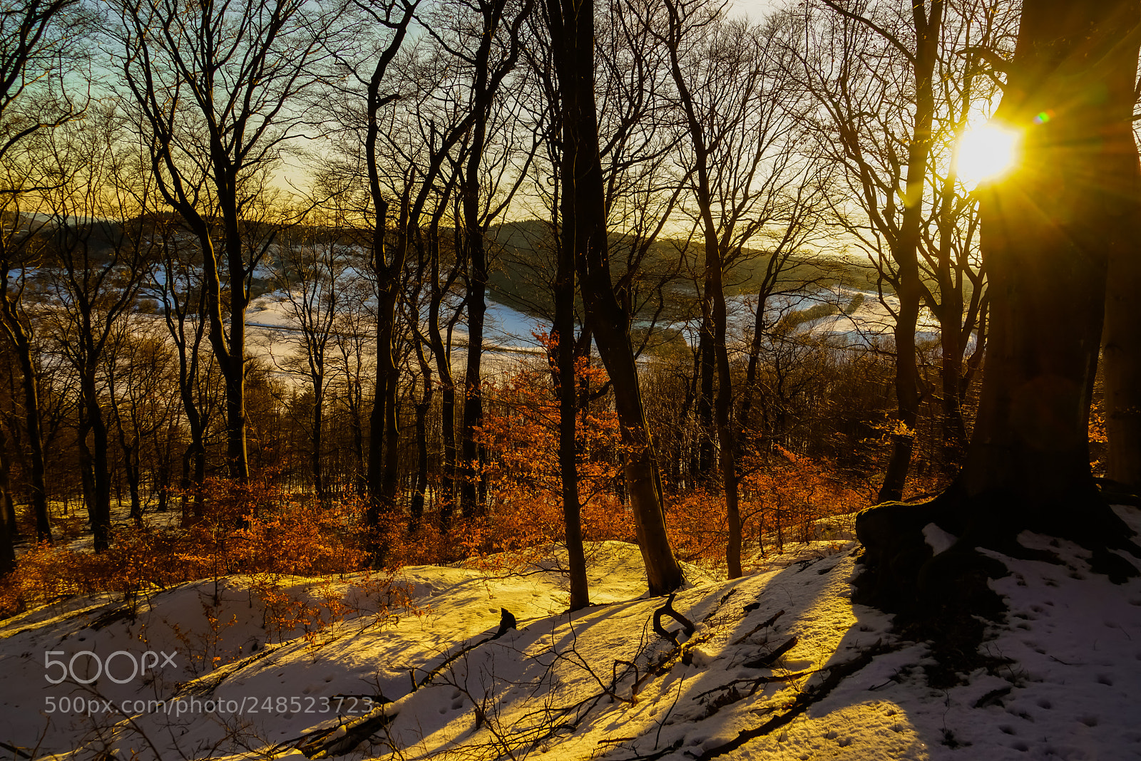 Sony a7R sample photo. Sonnenuntergang am ernstberg photography