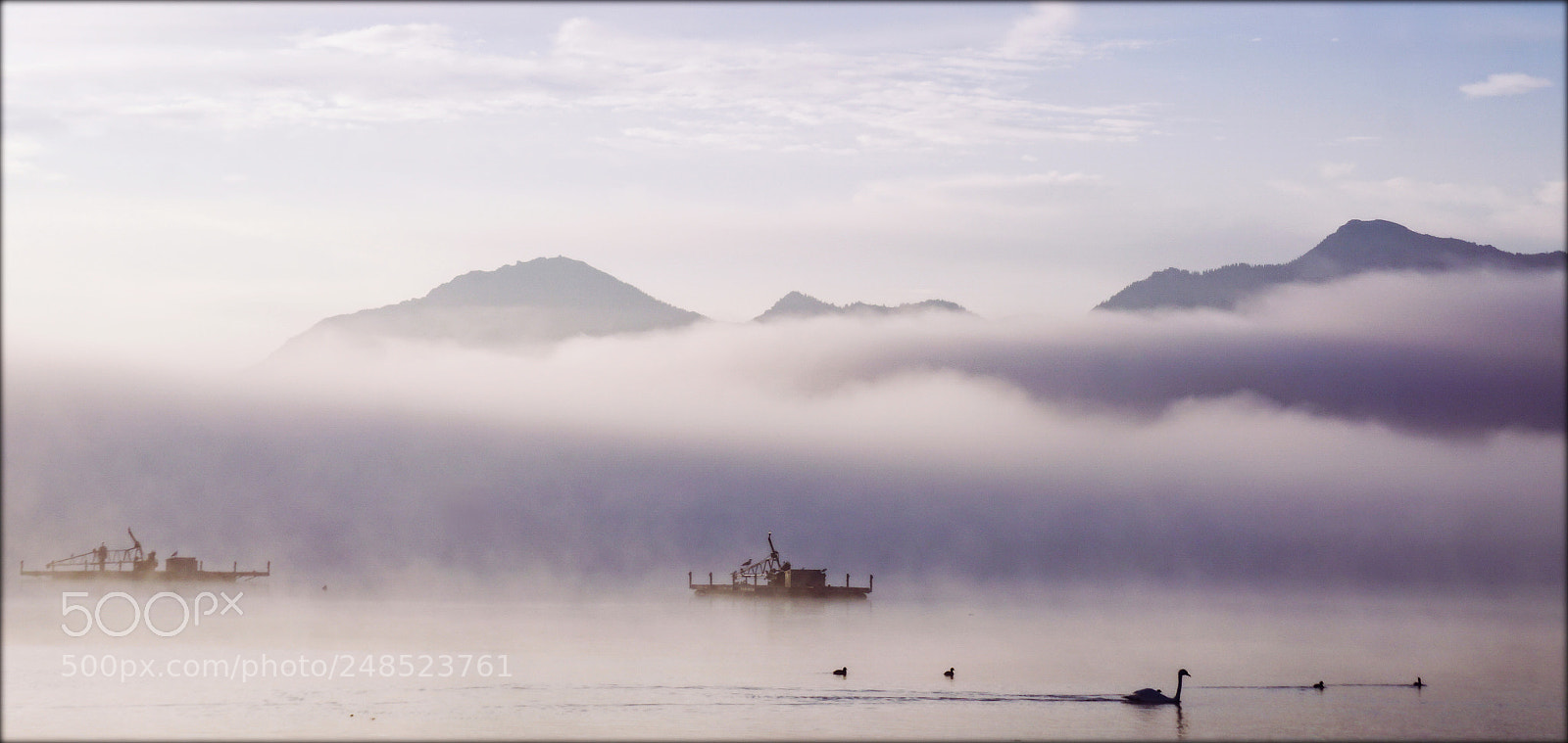 Sony a6000 sample photo. Misty morning at the photography