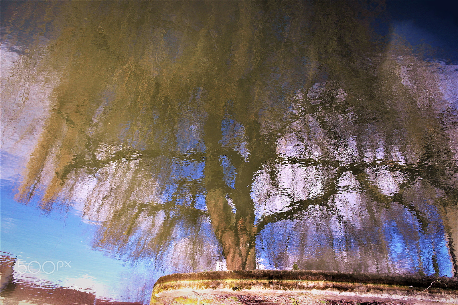 Samsung NX1000 sample photo. Clarity through dreaming photography