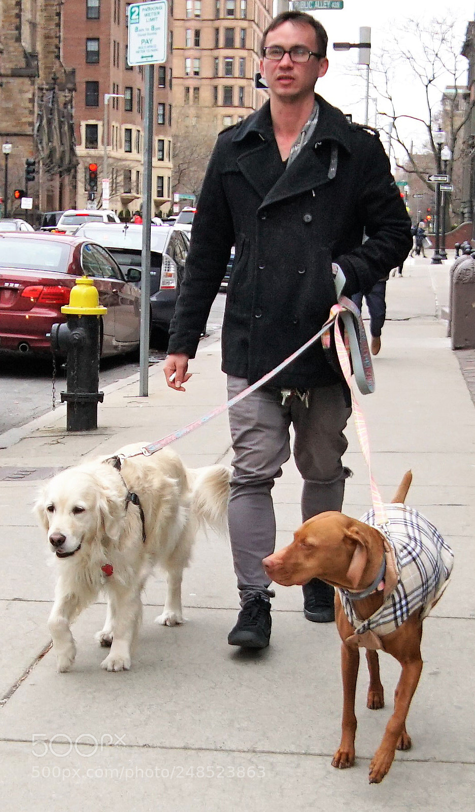 Sony a6500 sample photo. A dog walker on photography