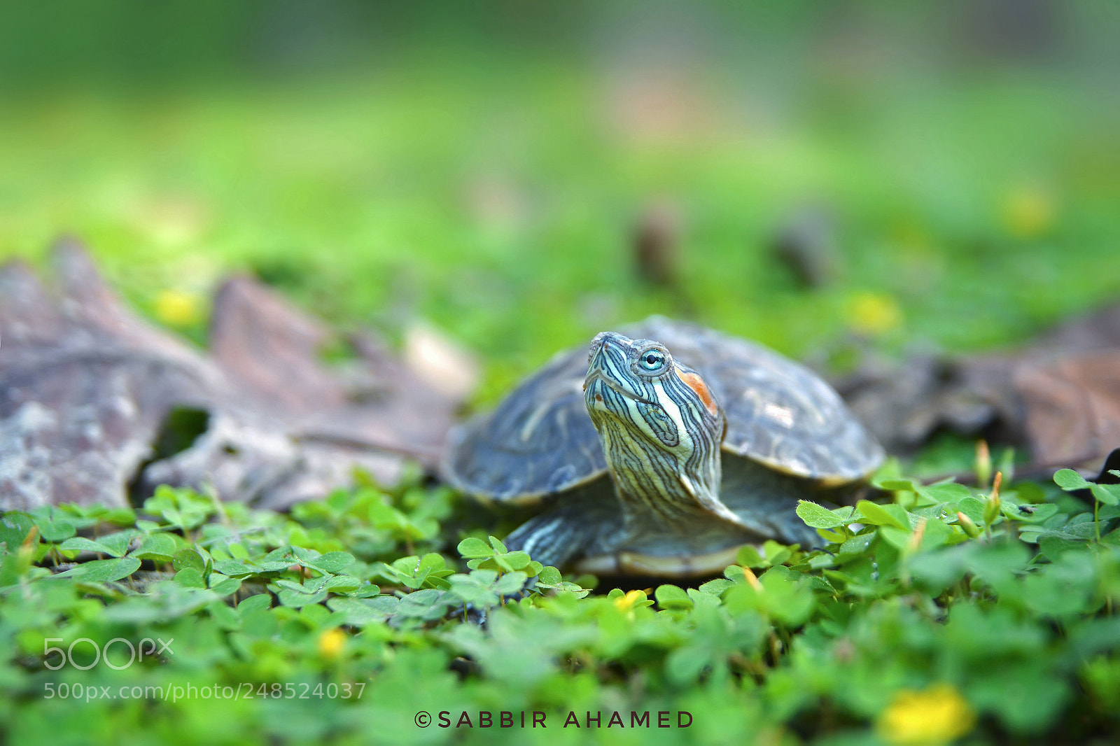 Nikon D7100 sample photo. Untitled photography