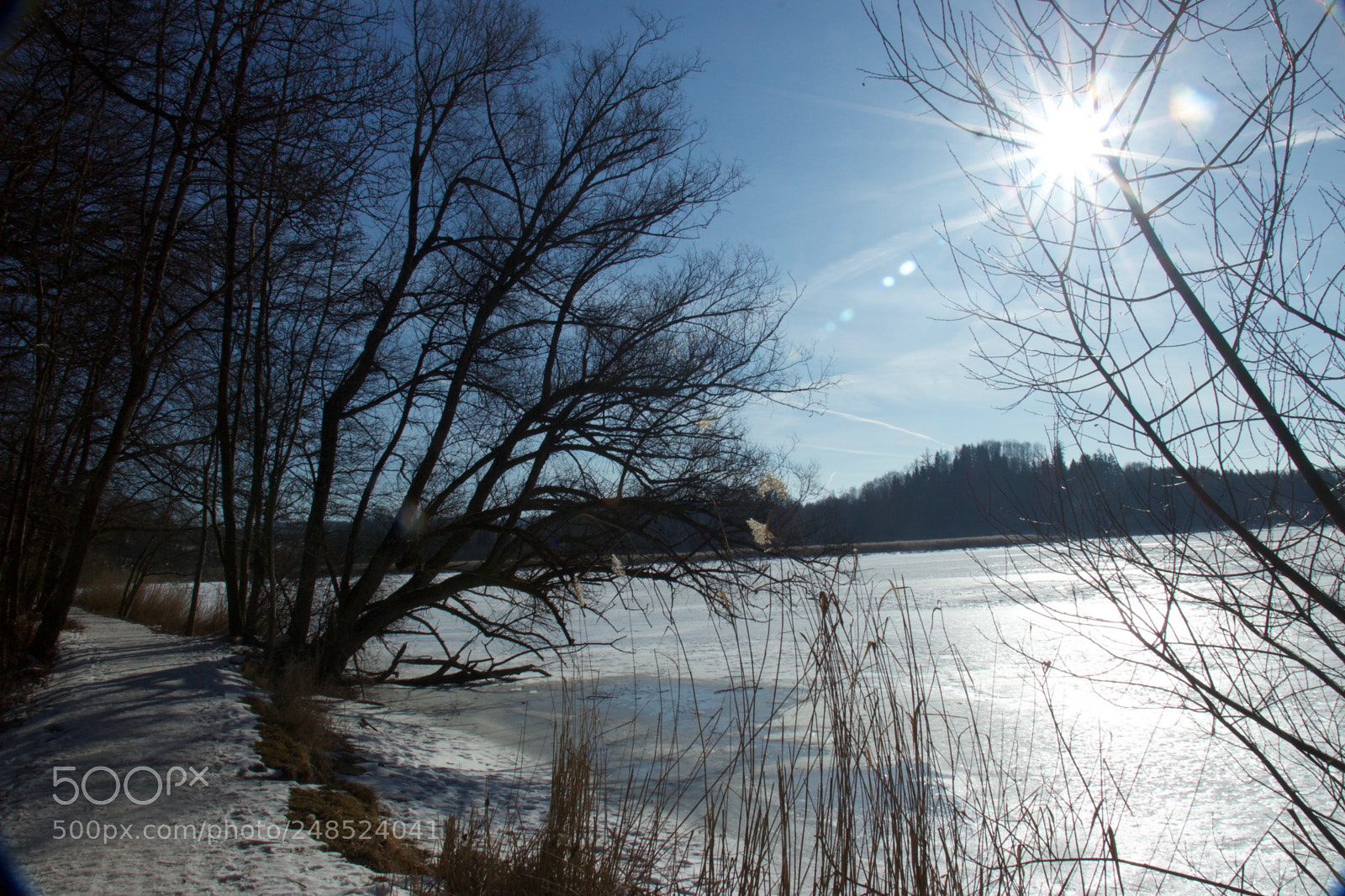 Canon EOS 700D (EOS Rebel T5i / EOS Kiss X7i) sample photo. Mg photography