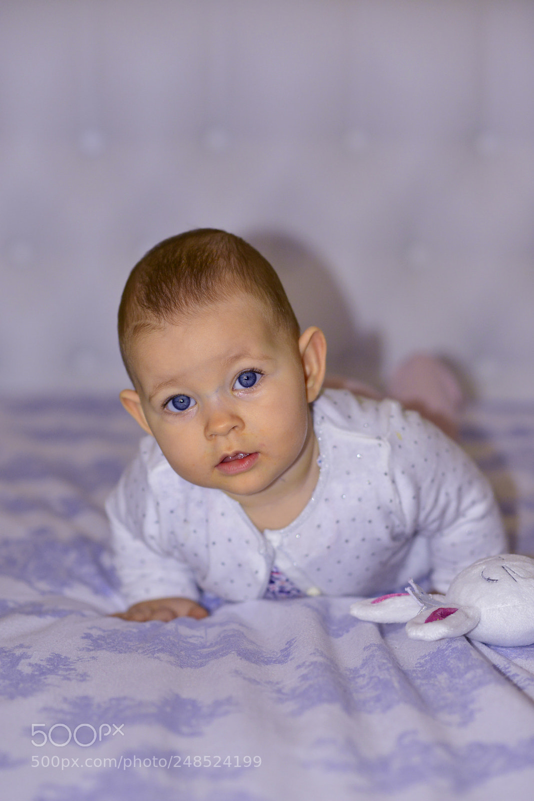 Nikon D800E sample photo. Untitled photography