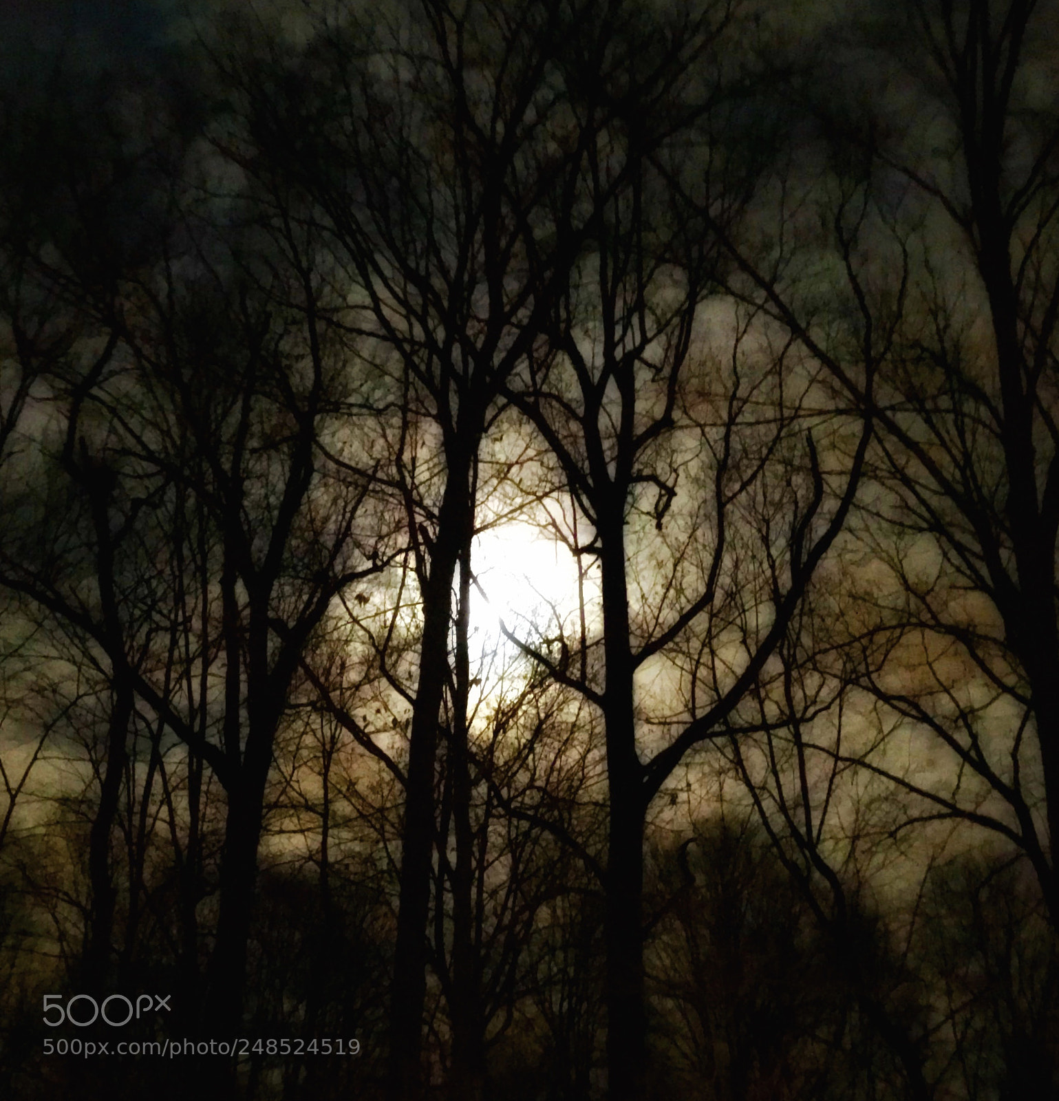 Apple iPhone 7 Plus sample photo. Moon through fog photography