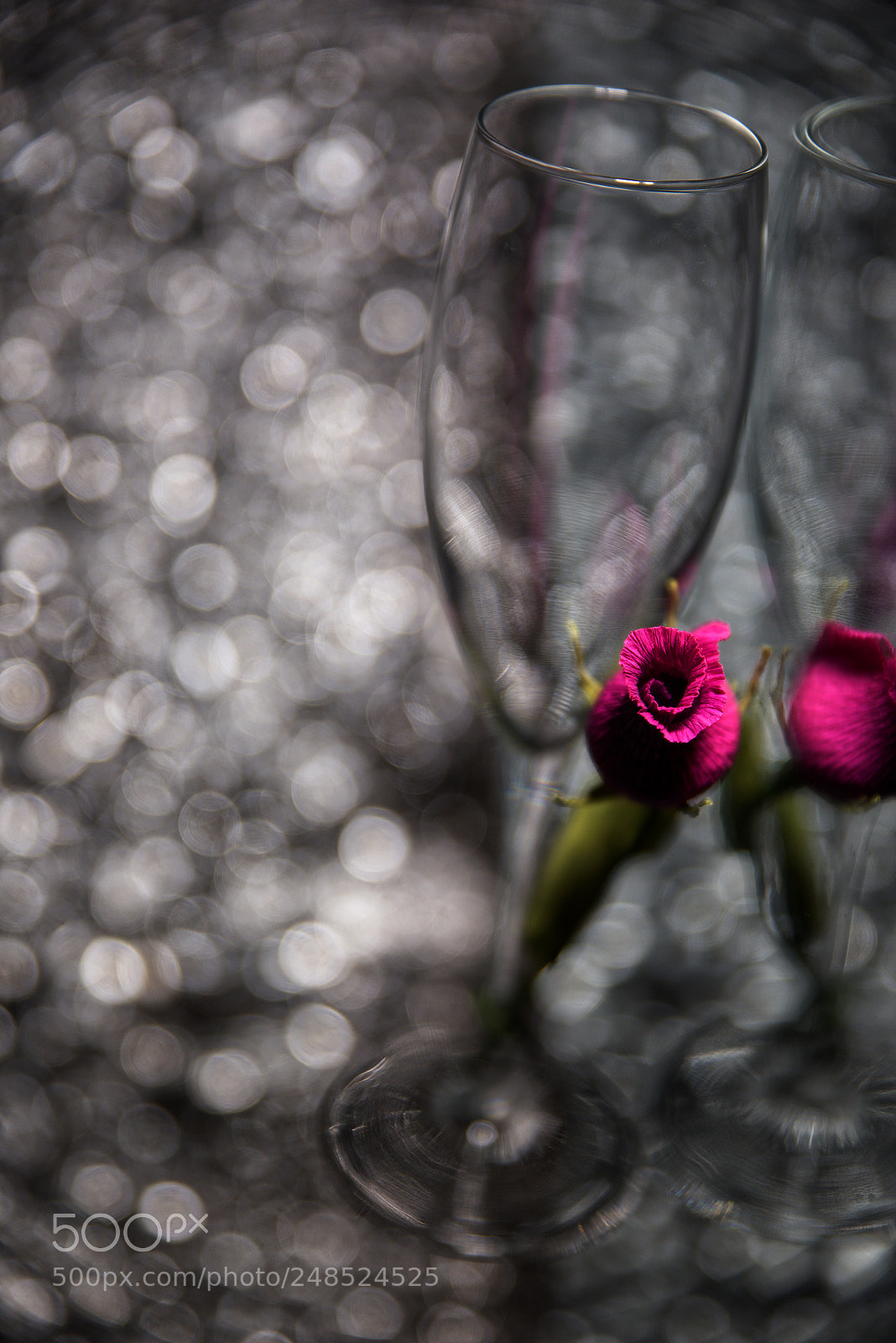 Nikon D810 sample photo. Glamorous photography
