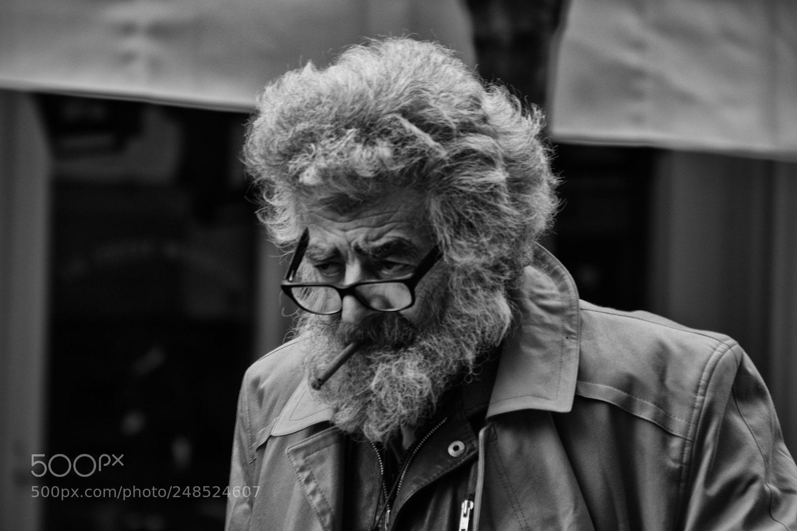 Canon EOS 80D sample photo. The nutty professor photography