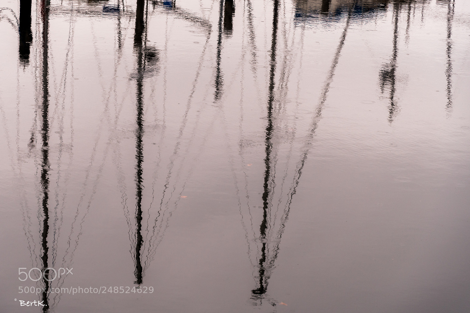 Nikon D500 sample photo. Reflection. photography