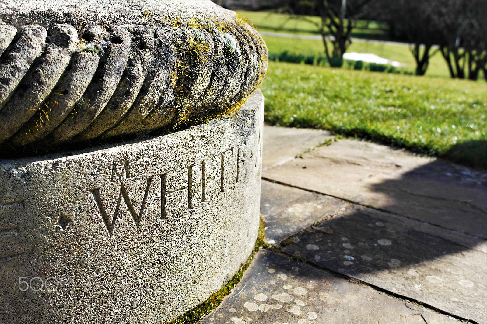 Samsung NX1000 sample photo. Mr. white photography
