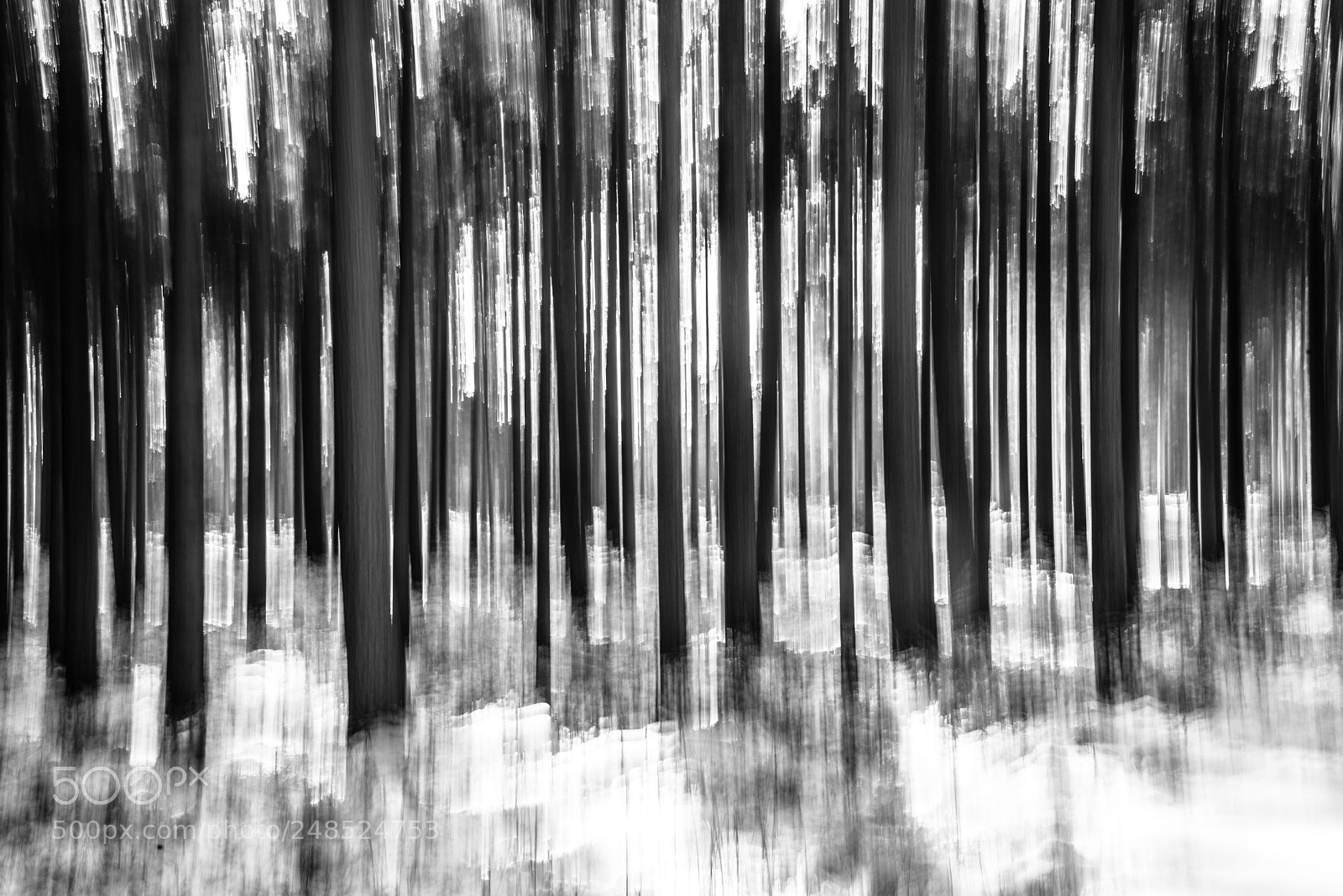 Pentax K-1 sample photo. Shaken forrest photography