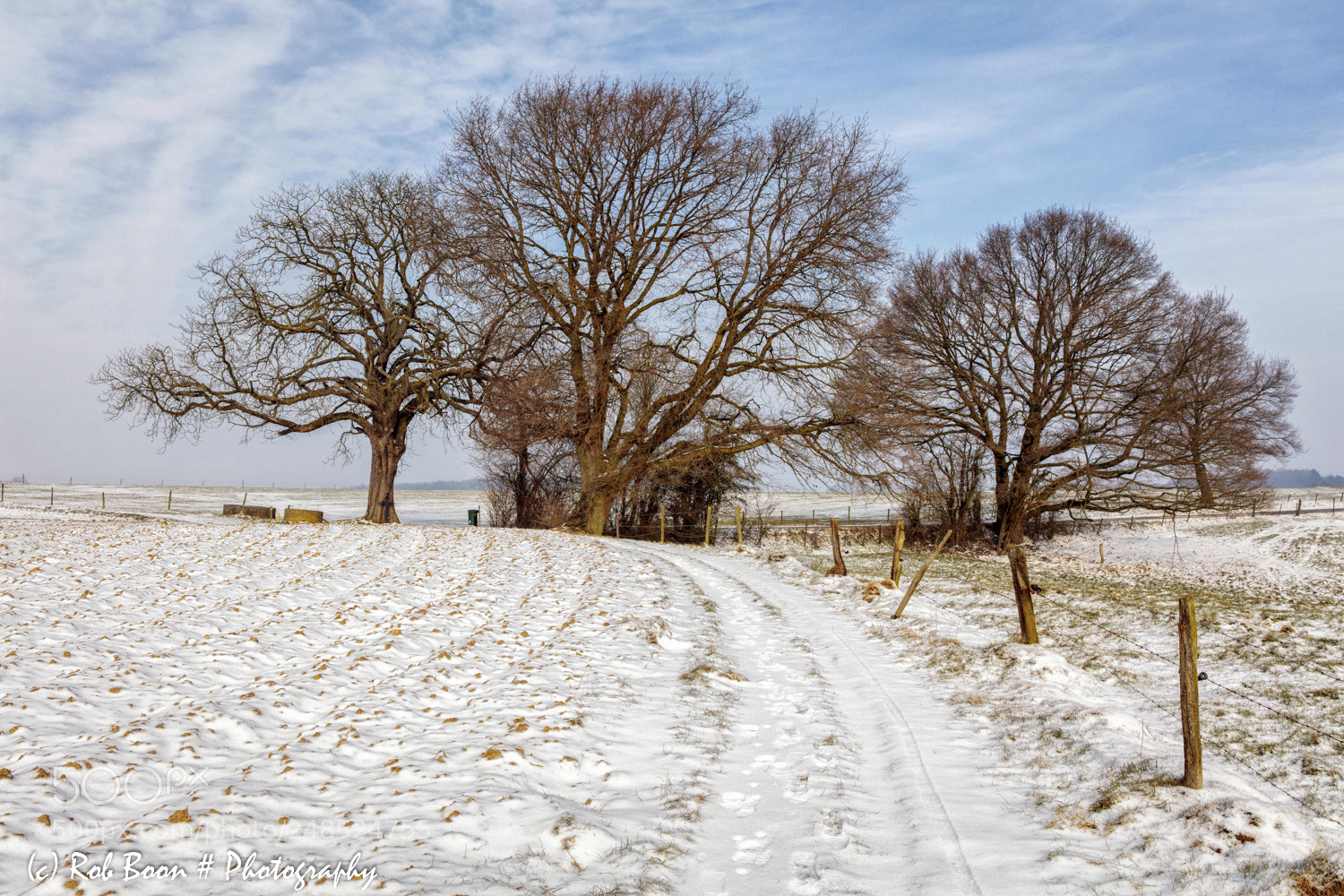 Canon EOS 5DS sample photo. Winter @ berghöf 2 photography
