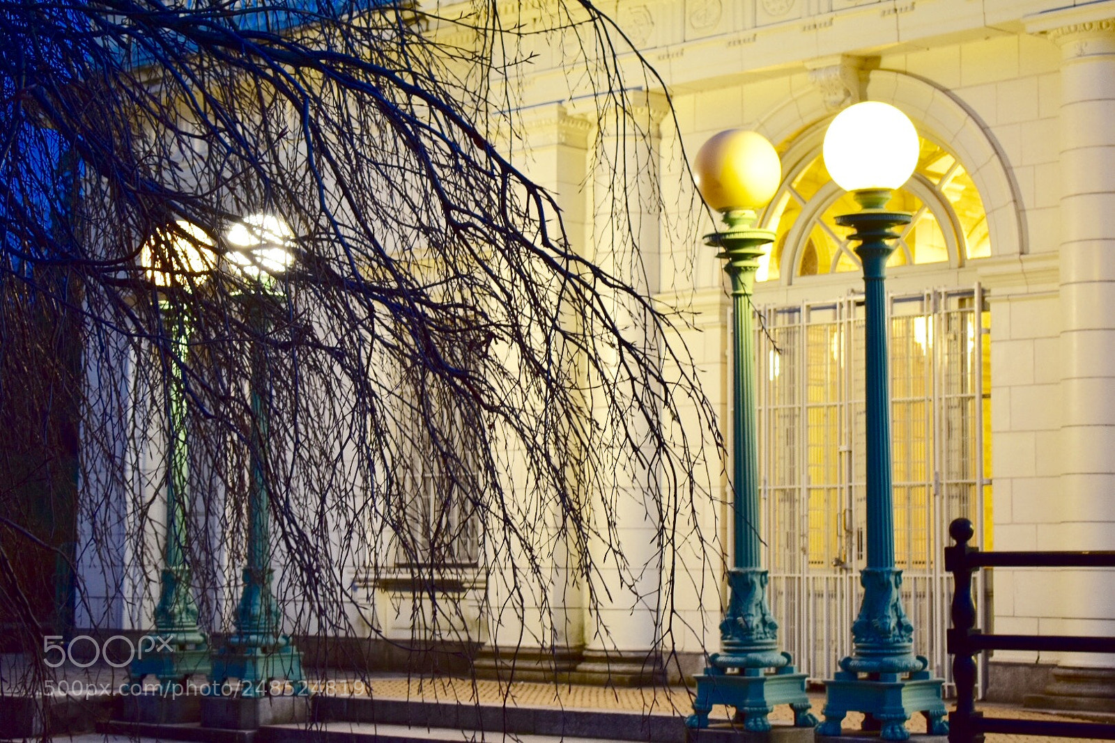 Nikon D3400 sample photo. I love the colors. photography