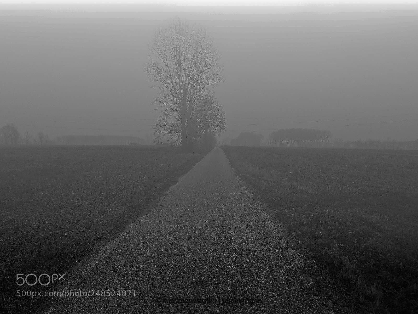 Nikon Coolpix S3500 sample photo. La strada dimezzo photography