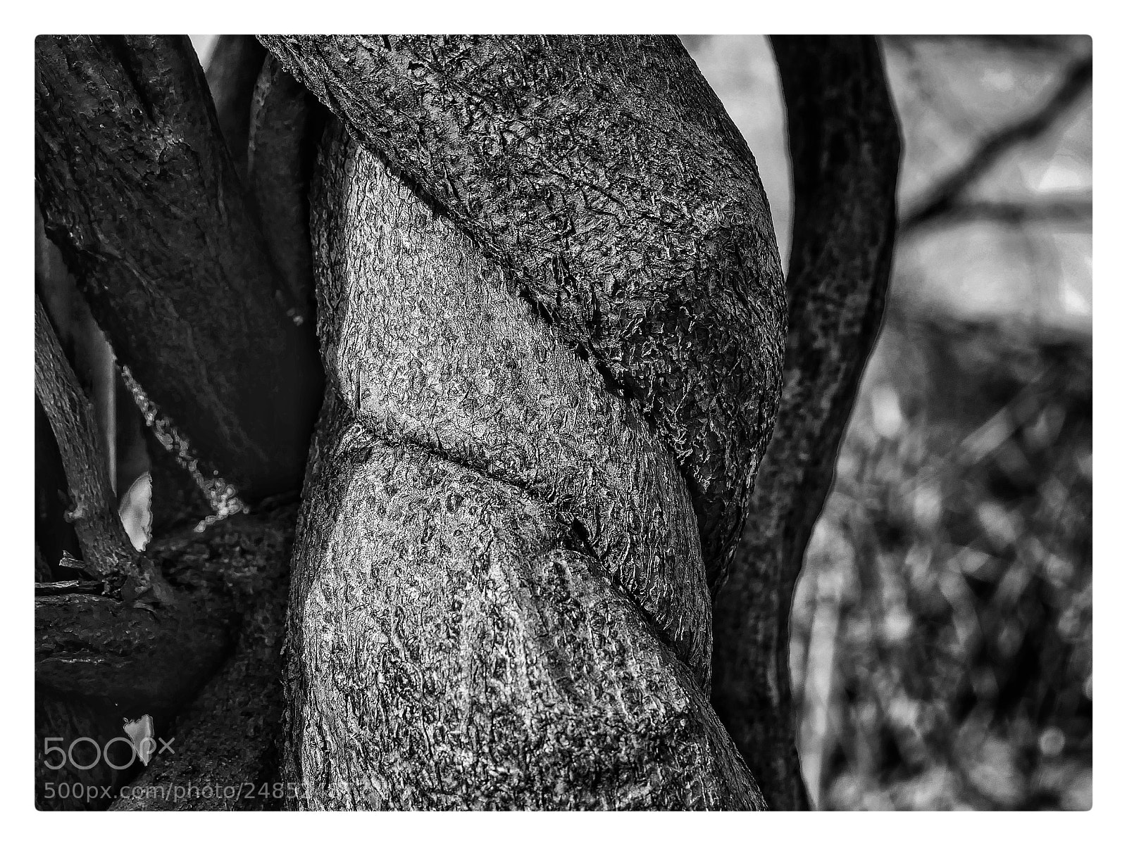 Panasonic Lumix DMC-G85 (Lumix DMC-G80) sample photo. Untitled photography