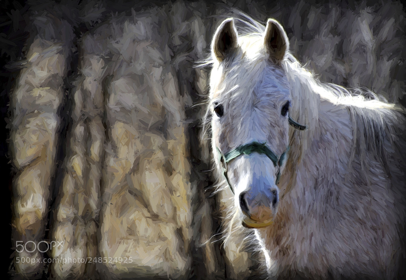 Nikon D200 sample photo. Beauty photography