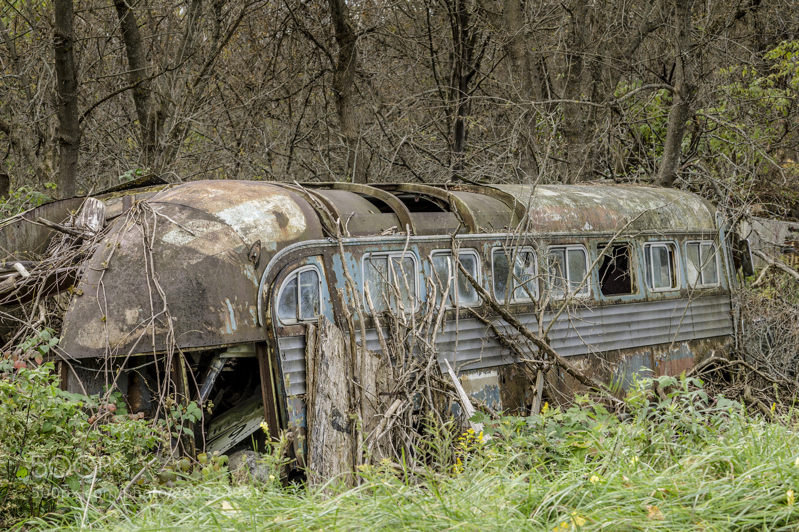 Sony a6000 sample photo. Get on the bus photography