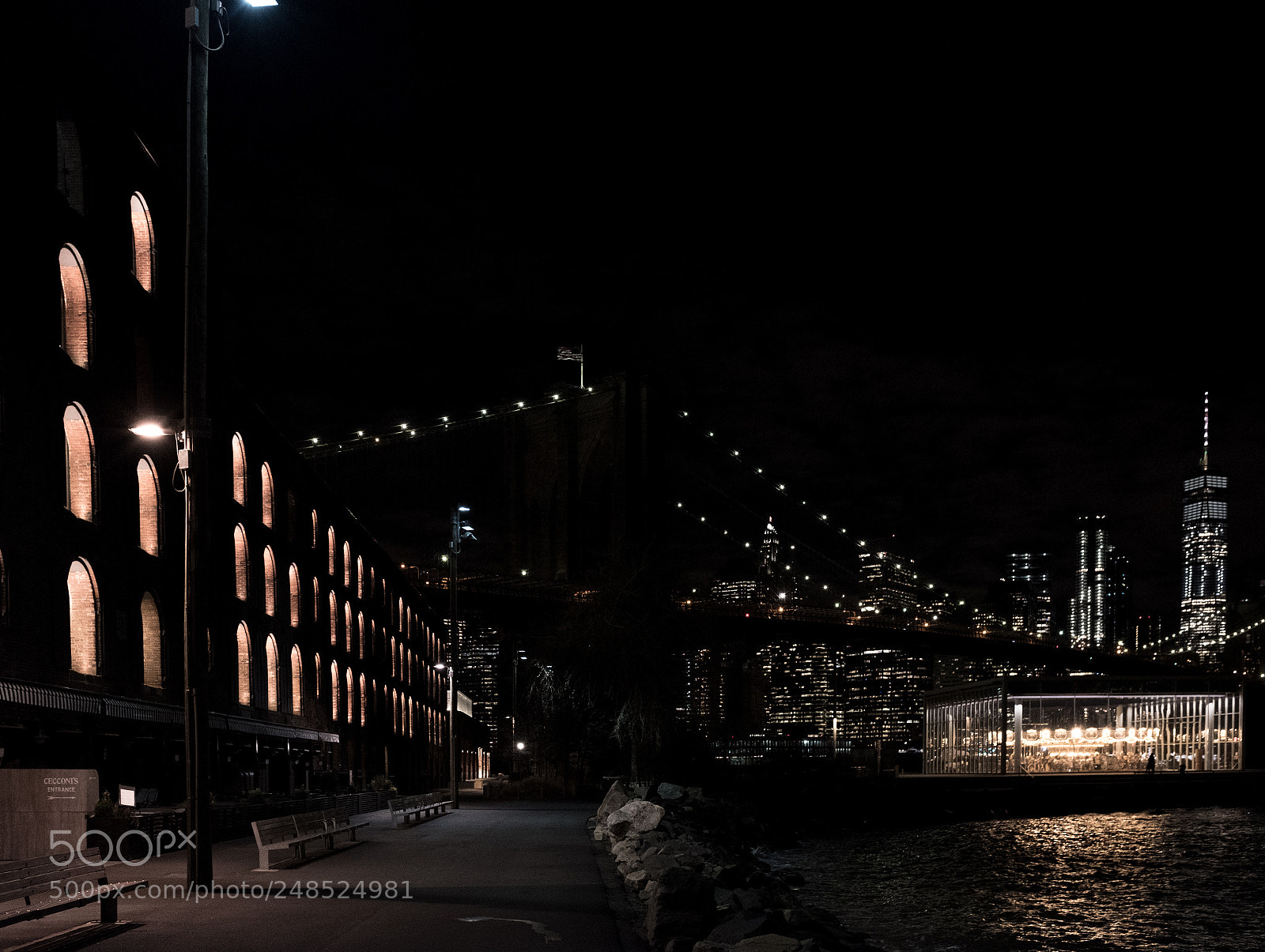 Fujifilm X100F sample photo. Brooklyn bridge park at photography