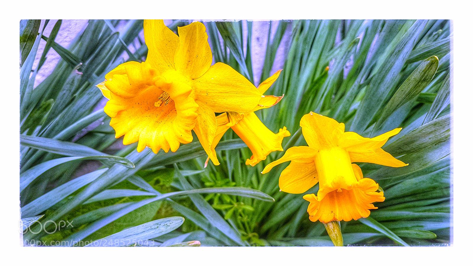 Samsung Galaxy S7 Edge sample photo. Colores del campo photography