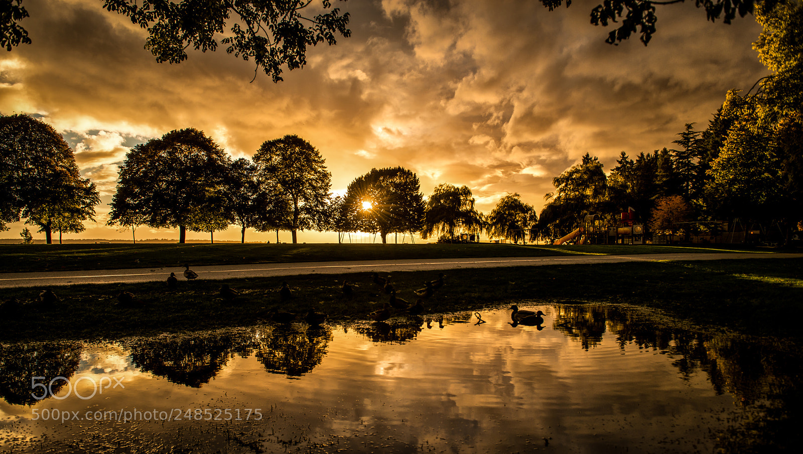 Nikon D800 sample photo. After the storm photography