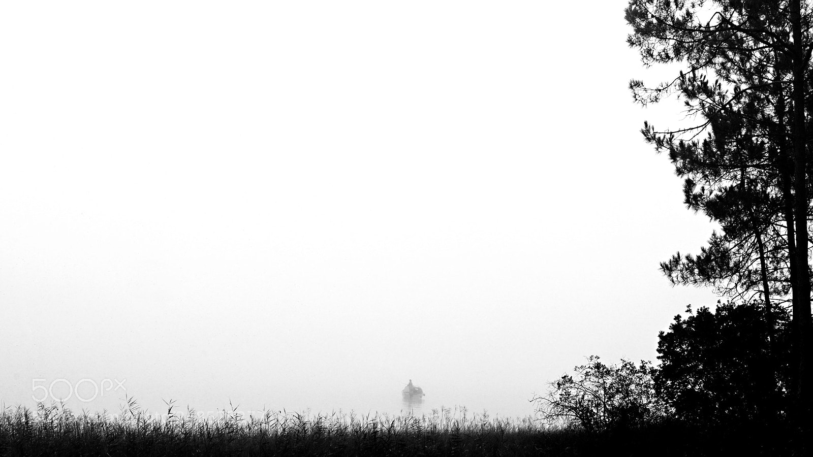 Sony ILCA-77M2 sample photo. Untitled photography