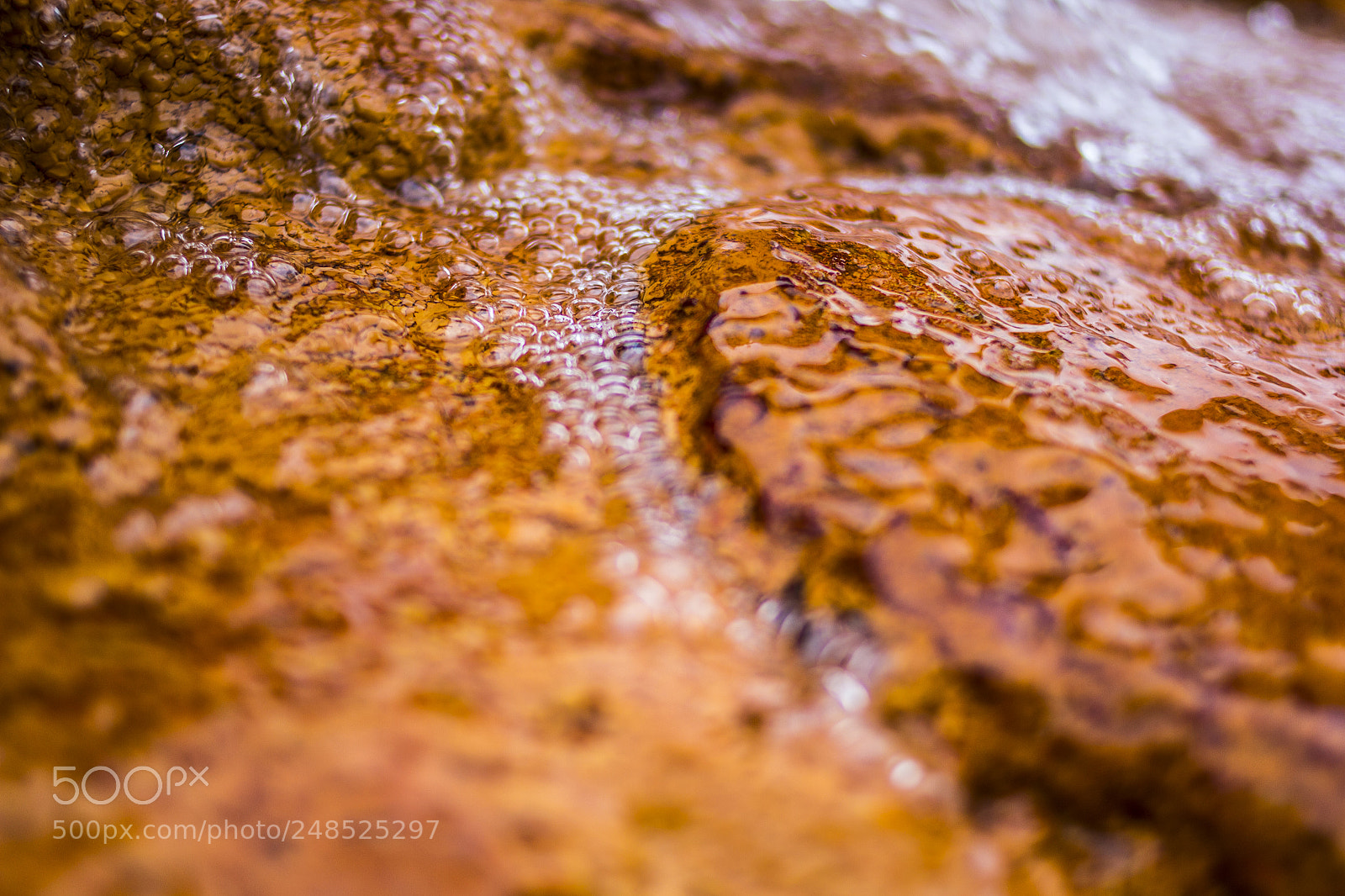 Canon EOS 60D sample photo. Narzan mineral water photography