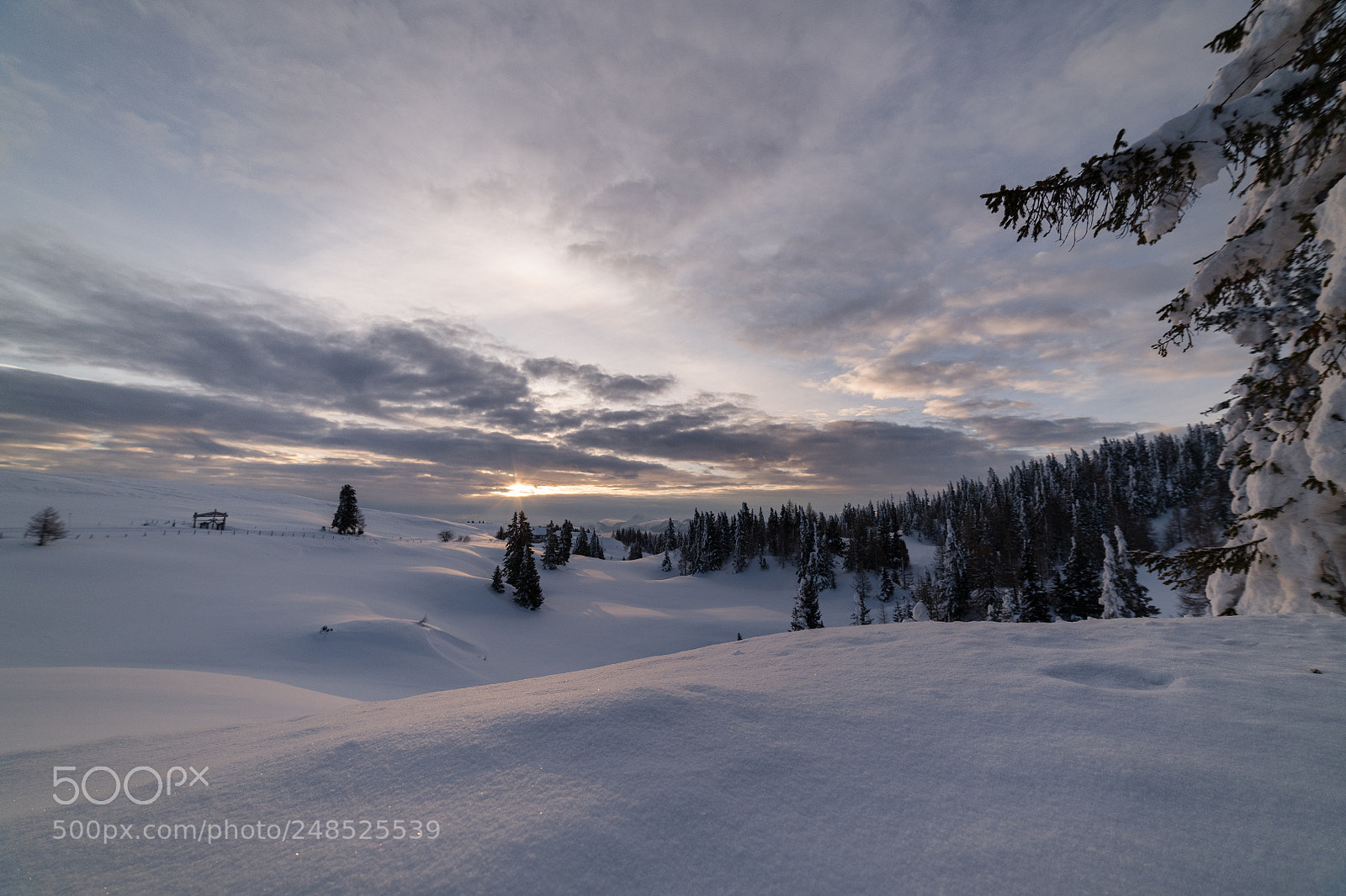 Nikon D850 sample photo. Winter sunrise photography