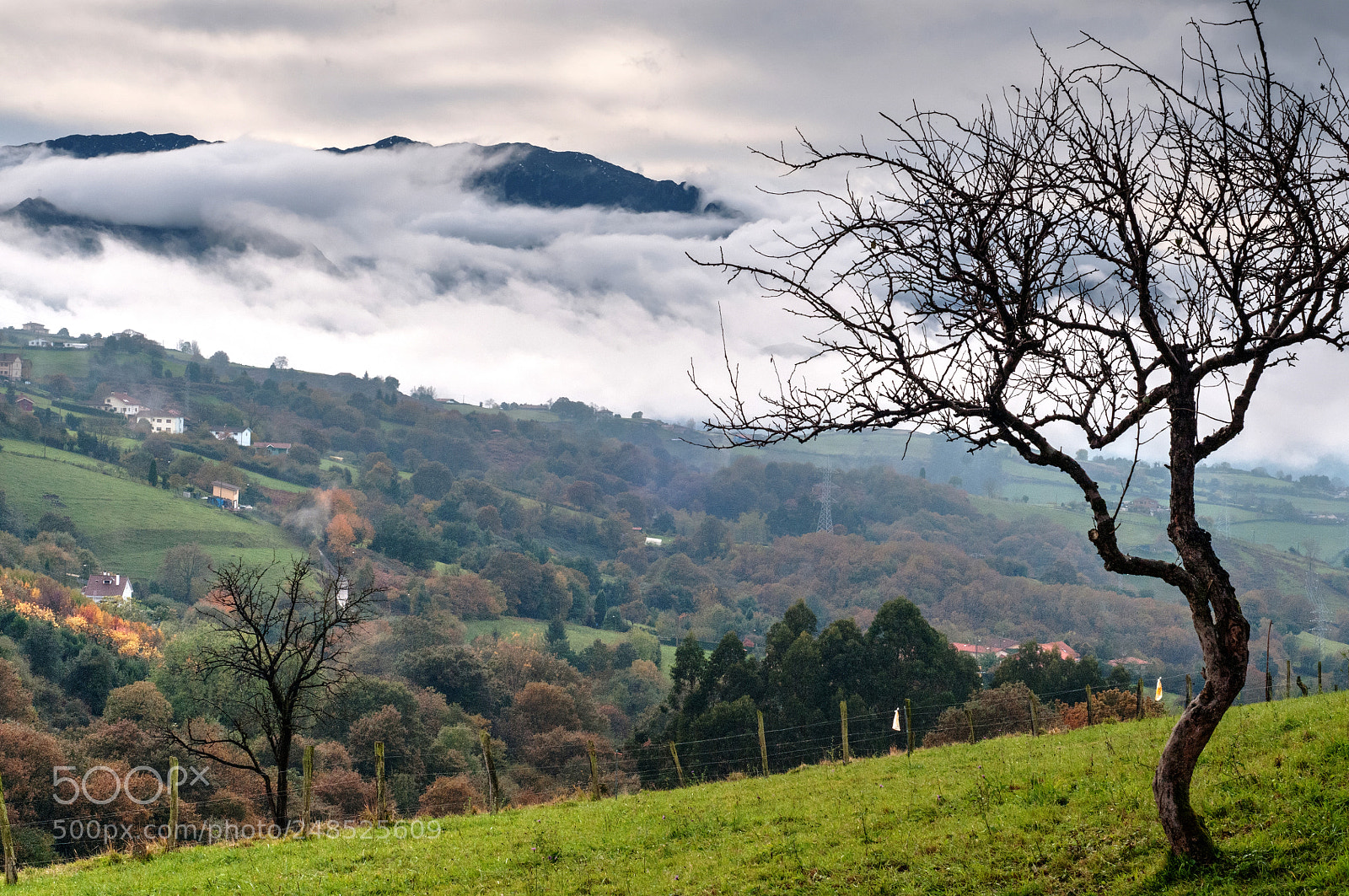 Nikon D300 sample photo. Paisaje con bruma photography