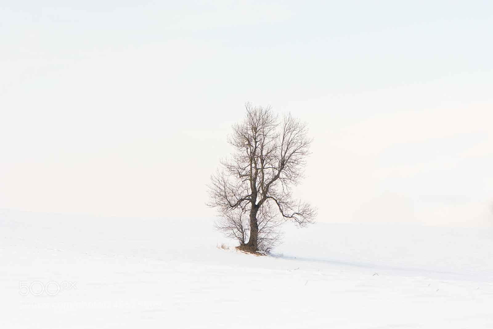 Nikon D7100 sample photo. Alone photography