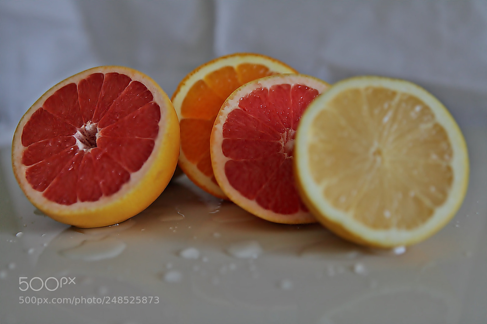 Canon EF 24-70mm F2.8L USM sample photo. Citricos ii photography