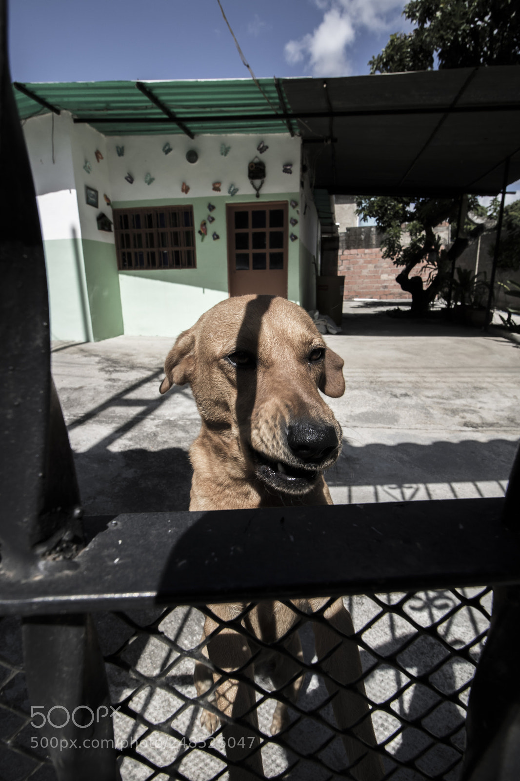 Canon EOS 750D (EOS Rebel T6i / EOS Kiss X8i) sample photo. Marca photography
