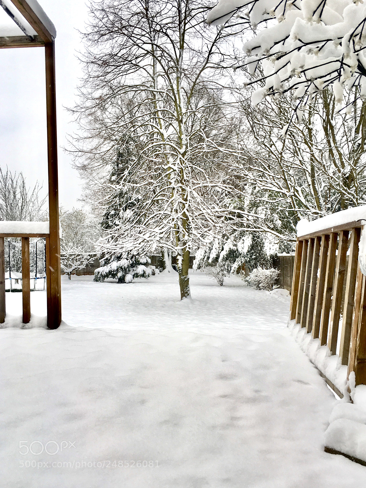 Apple iPhone 6s sample photo. Snow in the backyard photography