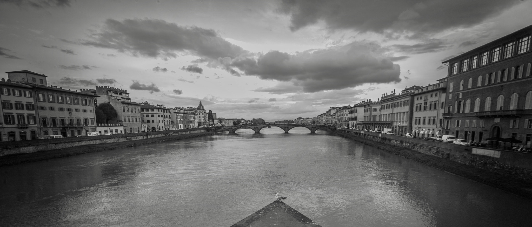 Leica M-Monochrom sample photo. Seagull & bridge photography