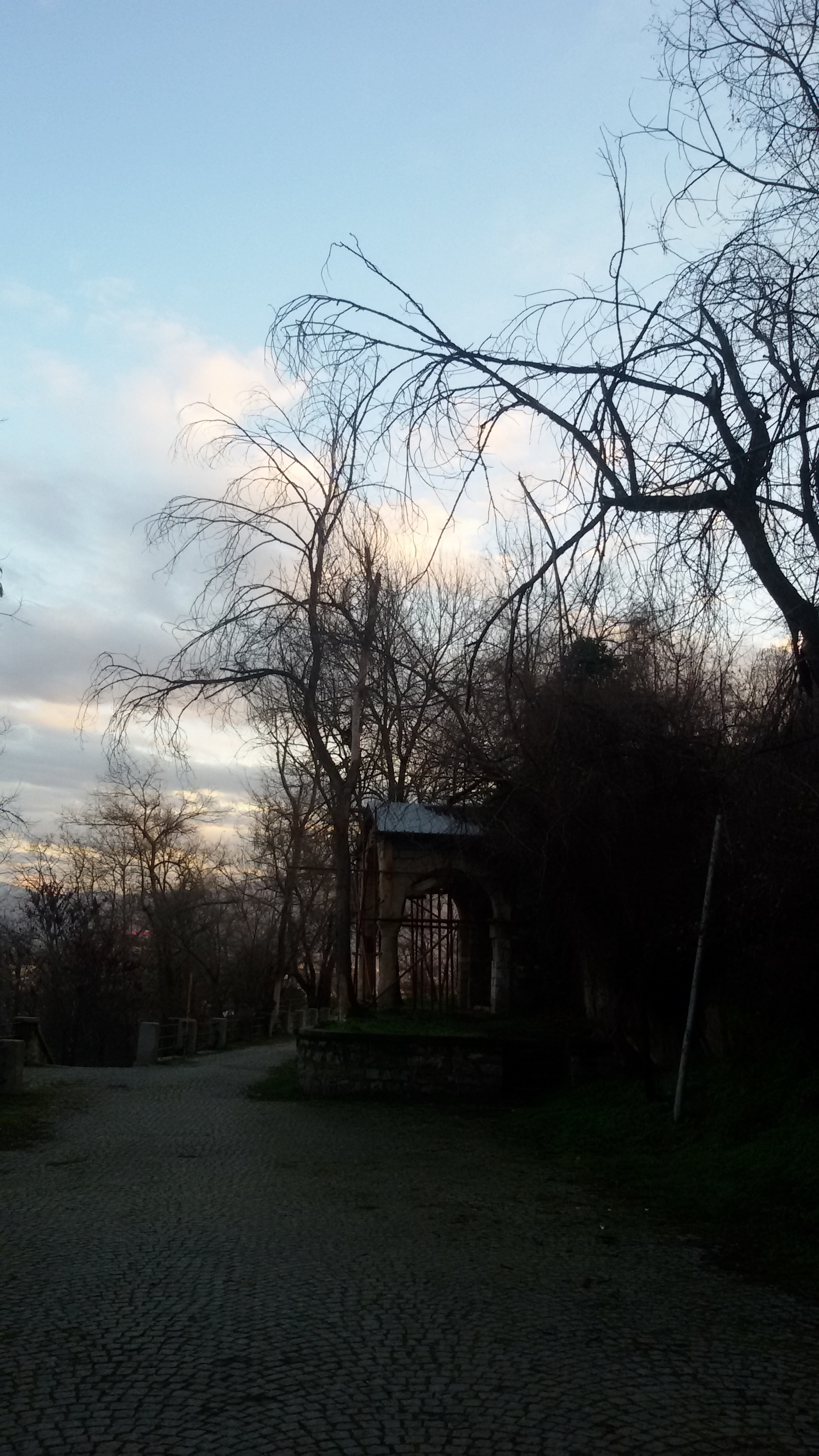 Samsung Galaxy S3 Neo sample photo
