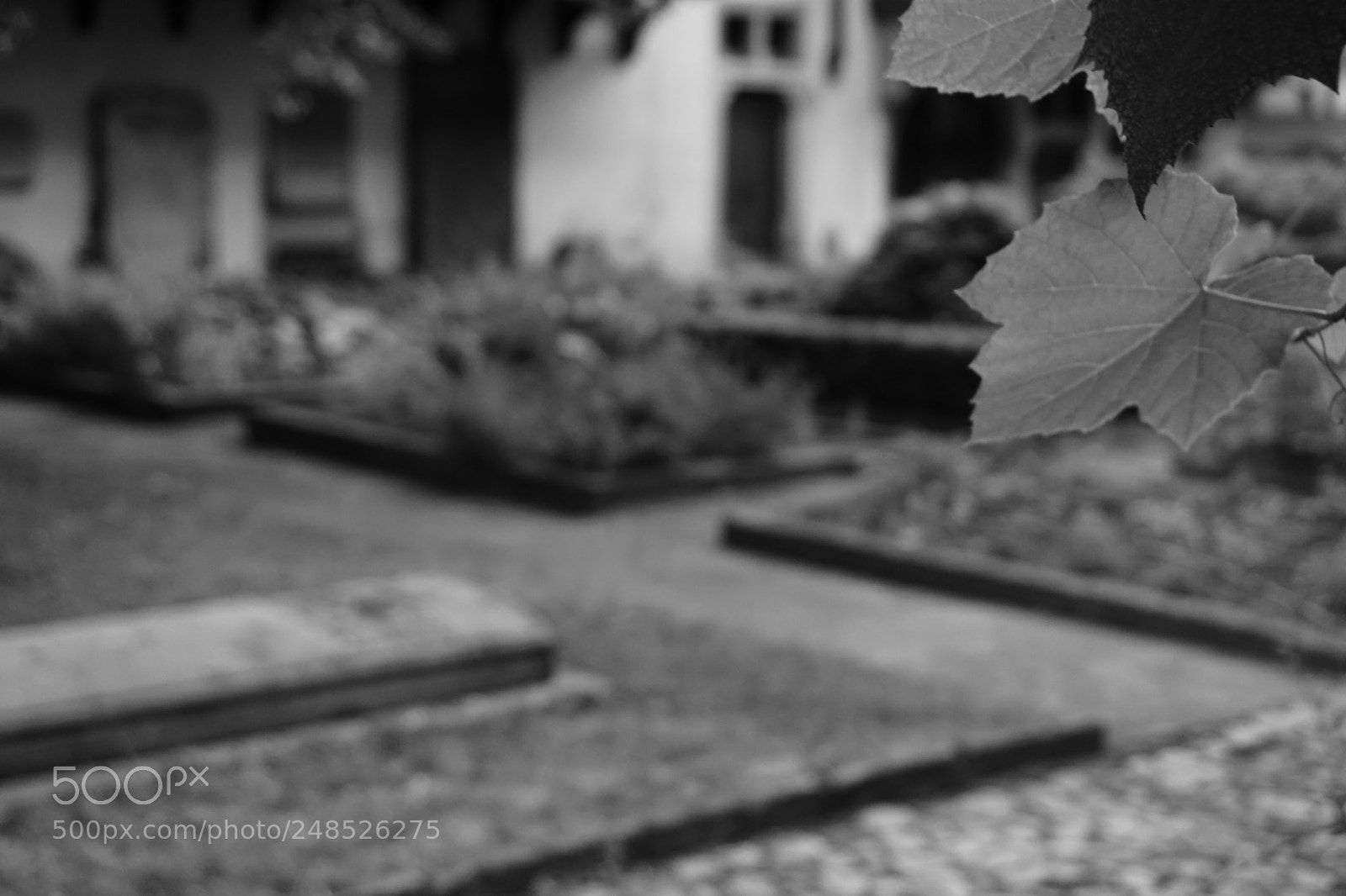 Sony a6000 sample photo. Strasbourg, france photography
