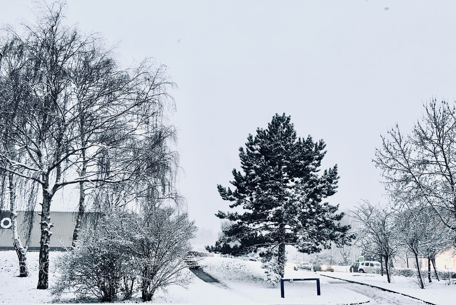 Apple iPhone 6s sample photo. Snow time photography