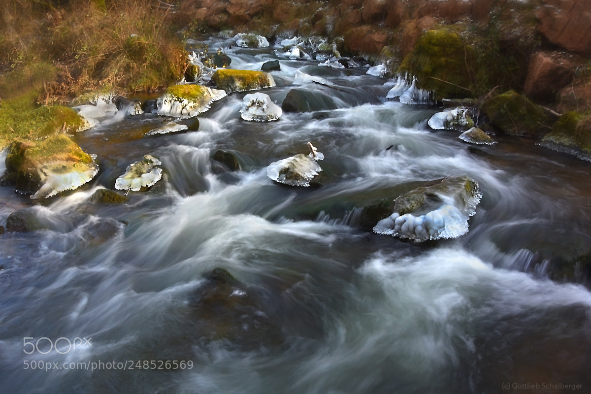 Nikon D7200 sample photo. Wild water photography