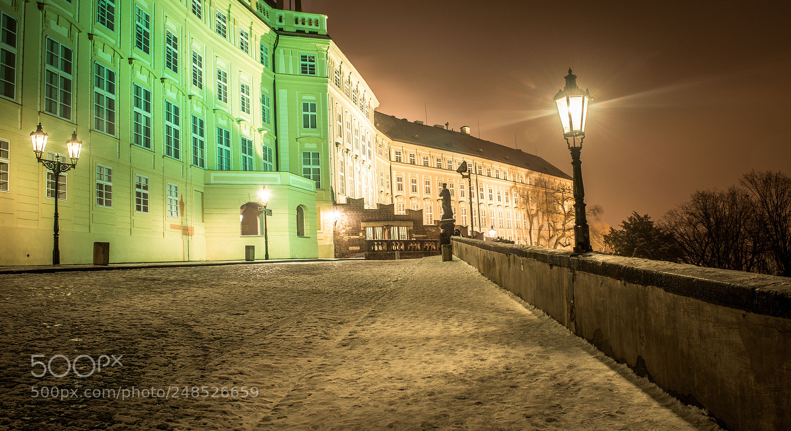 Nikon D800 sample photo. Nádvoří photography