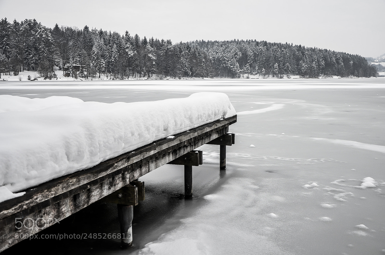Nikon D5100 sample photo. Winter view photography