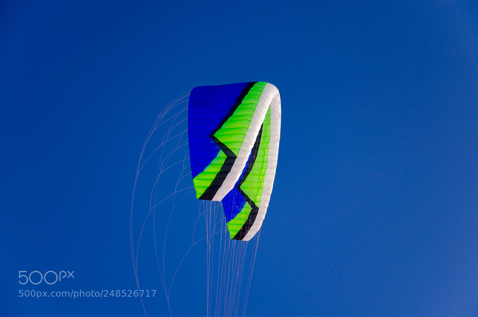 Nikon D5100 sample photo. Kite photography
