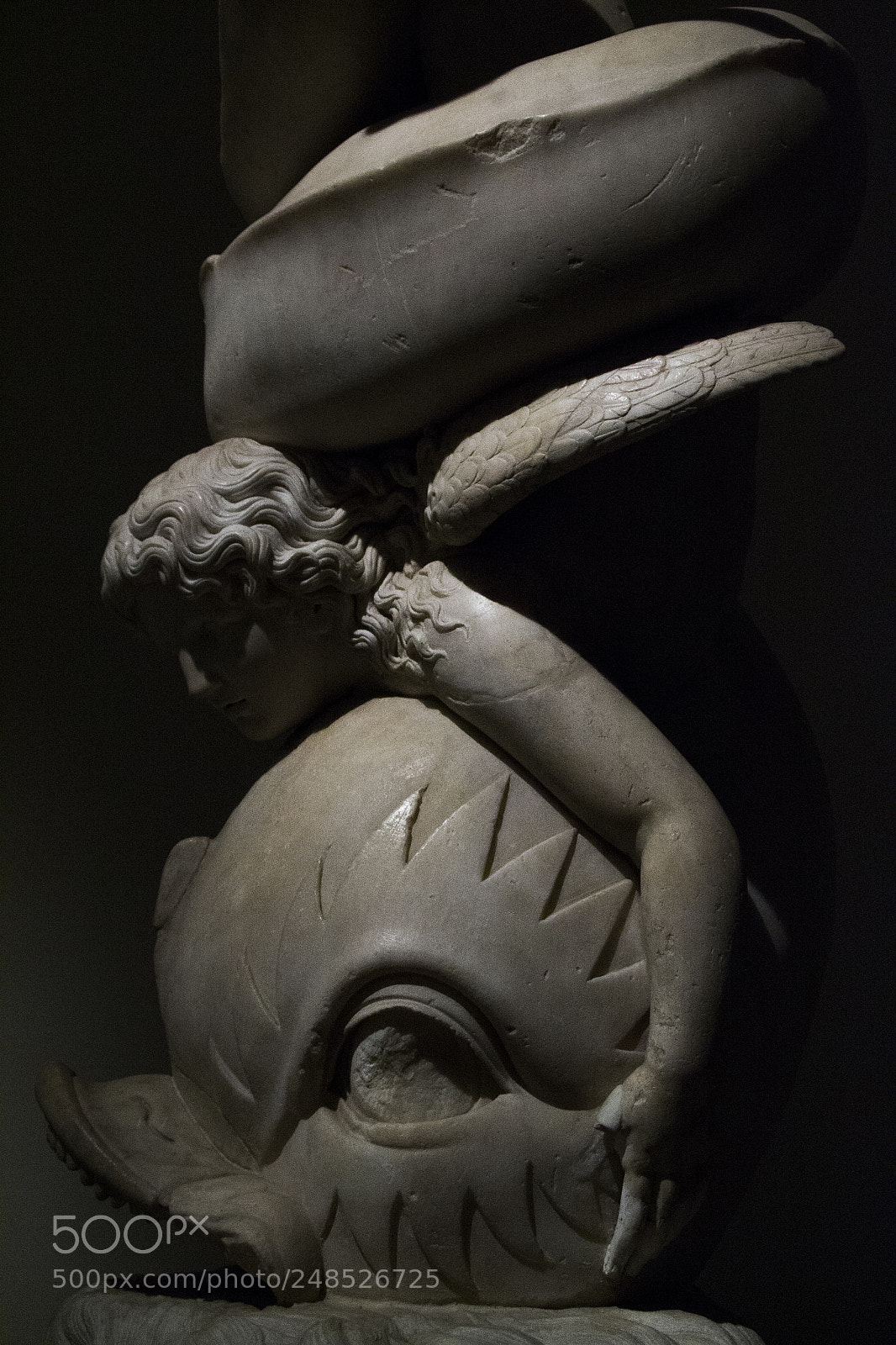Nikon D3100 sample photo. Eros e il delfino. photography