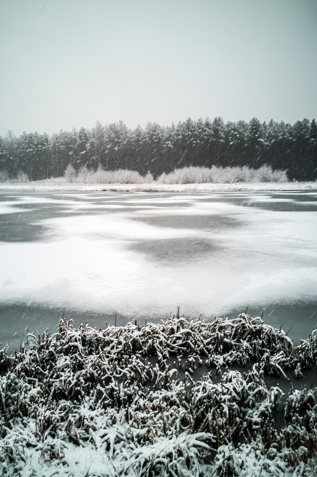 HUAWEI P10 sample photo. Winter is back 7.3.2018 photography