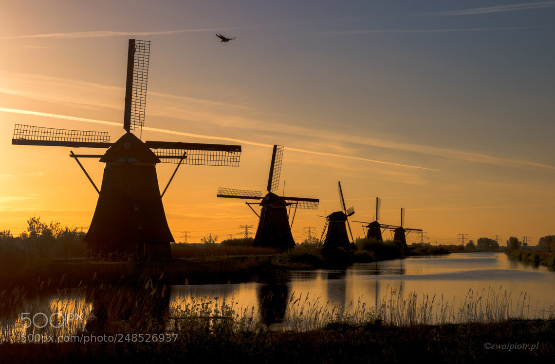 Canon EOS 7D Mark II sample photo. Kinderdijk at dawn photography