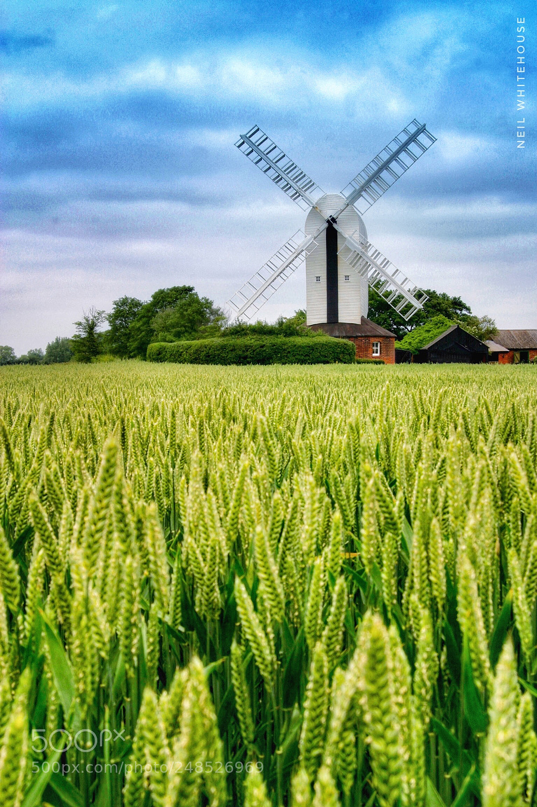 Canon EOS 10D sample photo. Windmill in cornfield photography