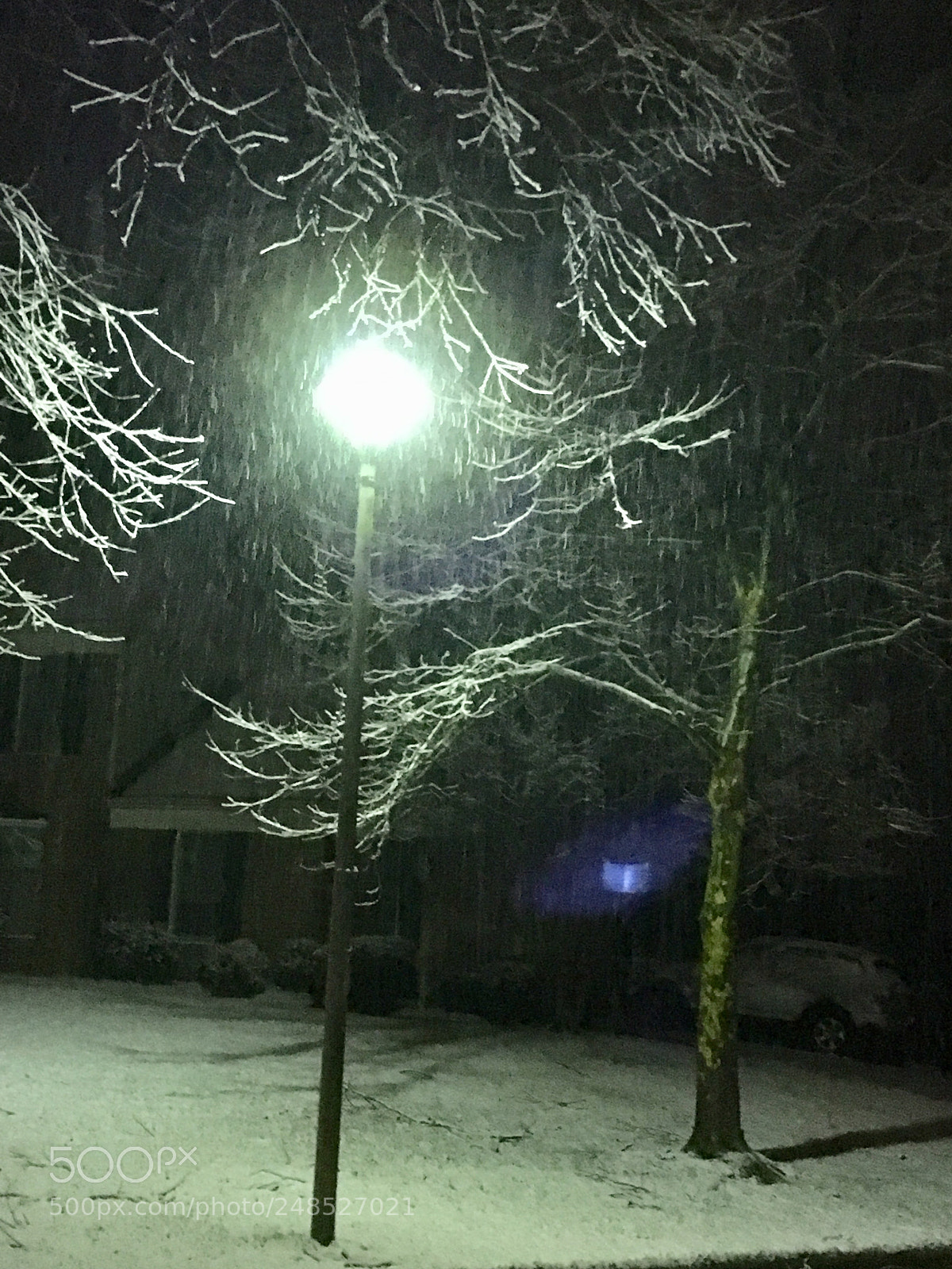 Apple iPhone 6s sample photo. Untitled photography