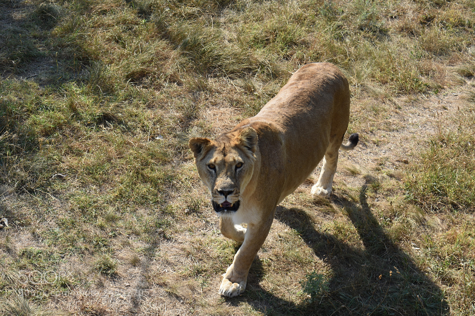 Nikon D3400 sample photo. Untitled photography