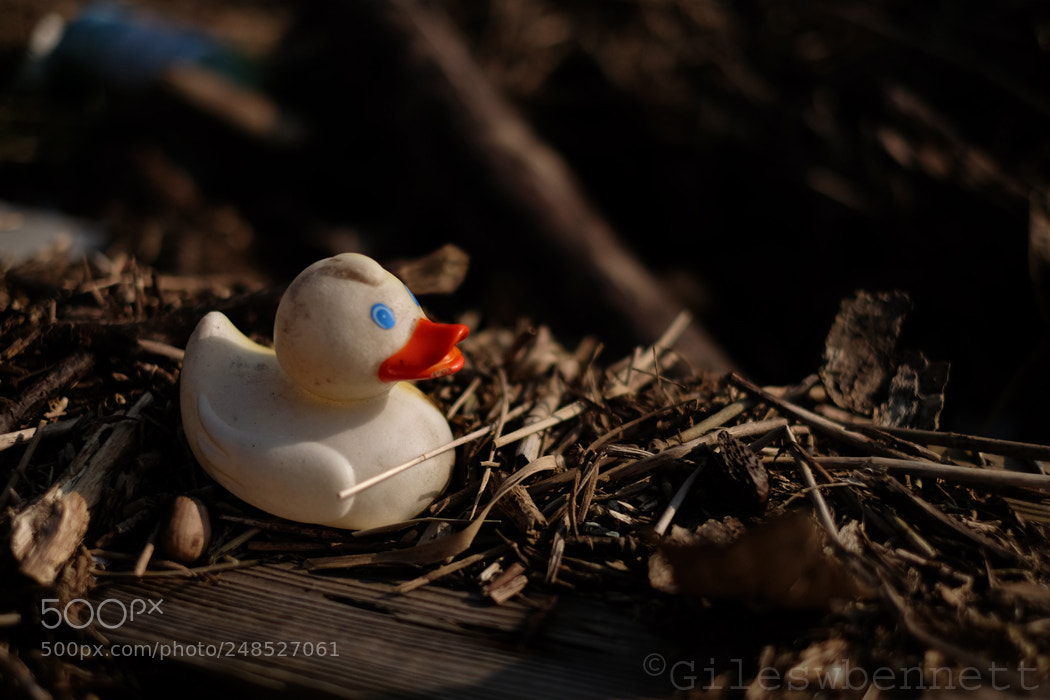 Fujifilm X-T1 sample photo. Rubber duck photography