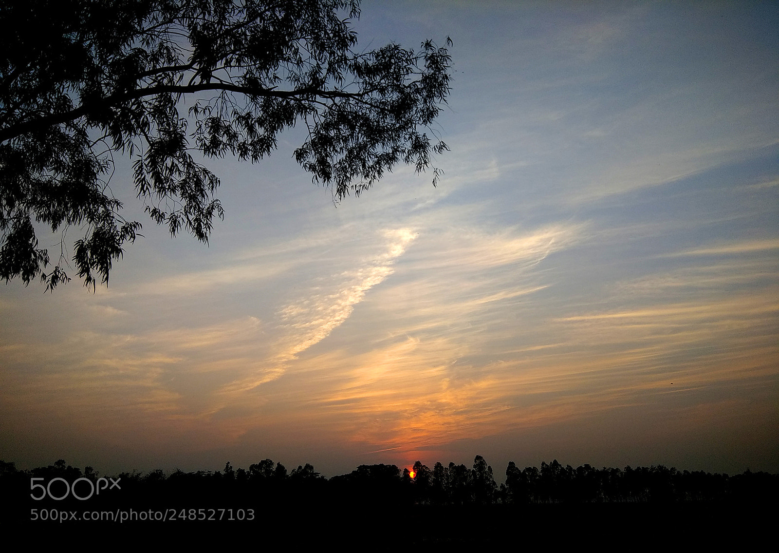 Xiaomi Redmi Note 4 sample photo. Golden hour photography