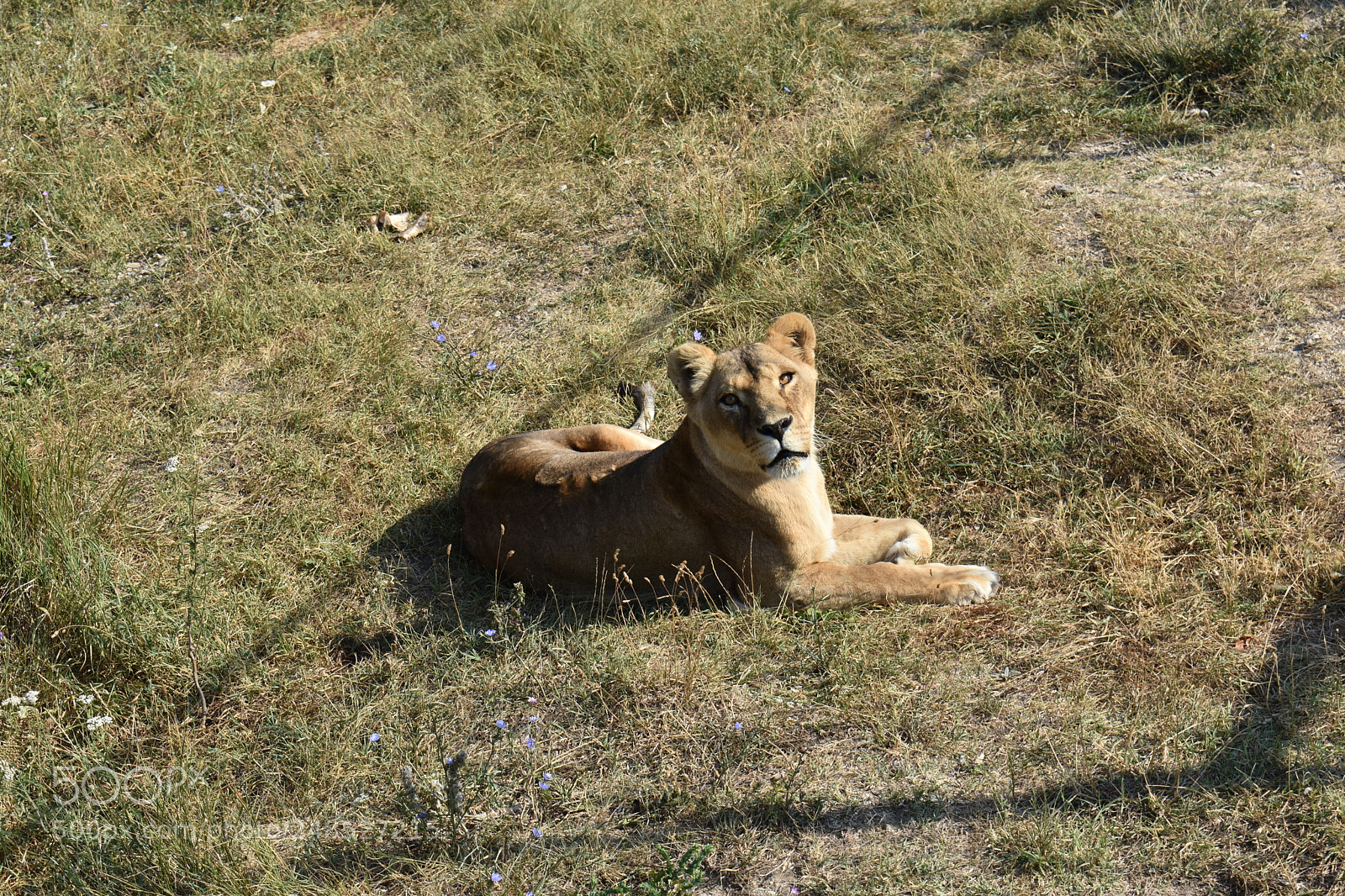 Nikon D3400 sample photo. Untitled photography