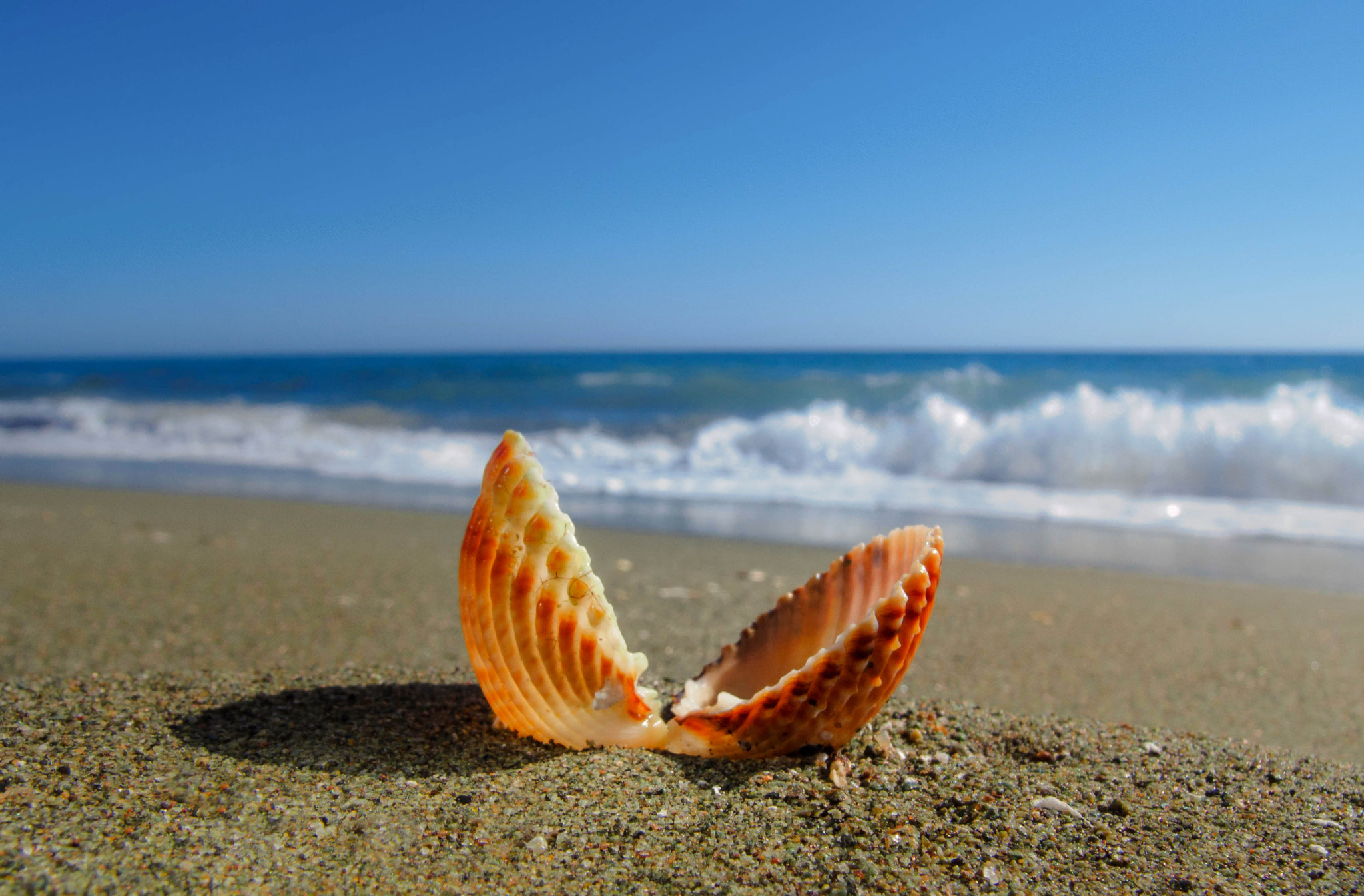 Olympus XZ-2 iHS sample photo. Kreta photography